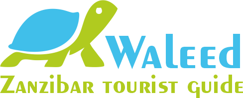 Zanzibar Certified Tourguide